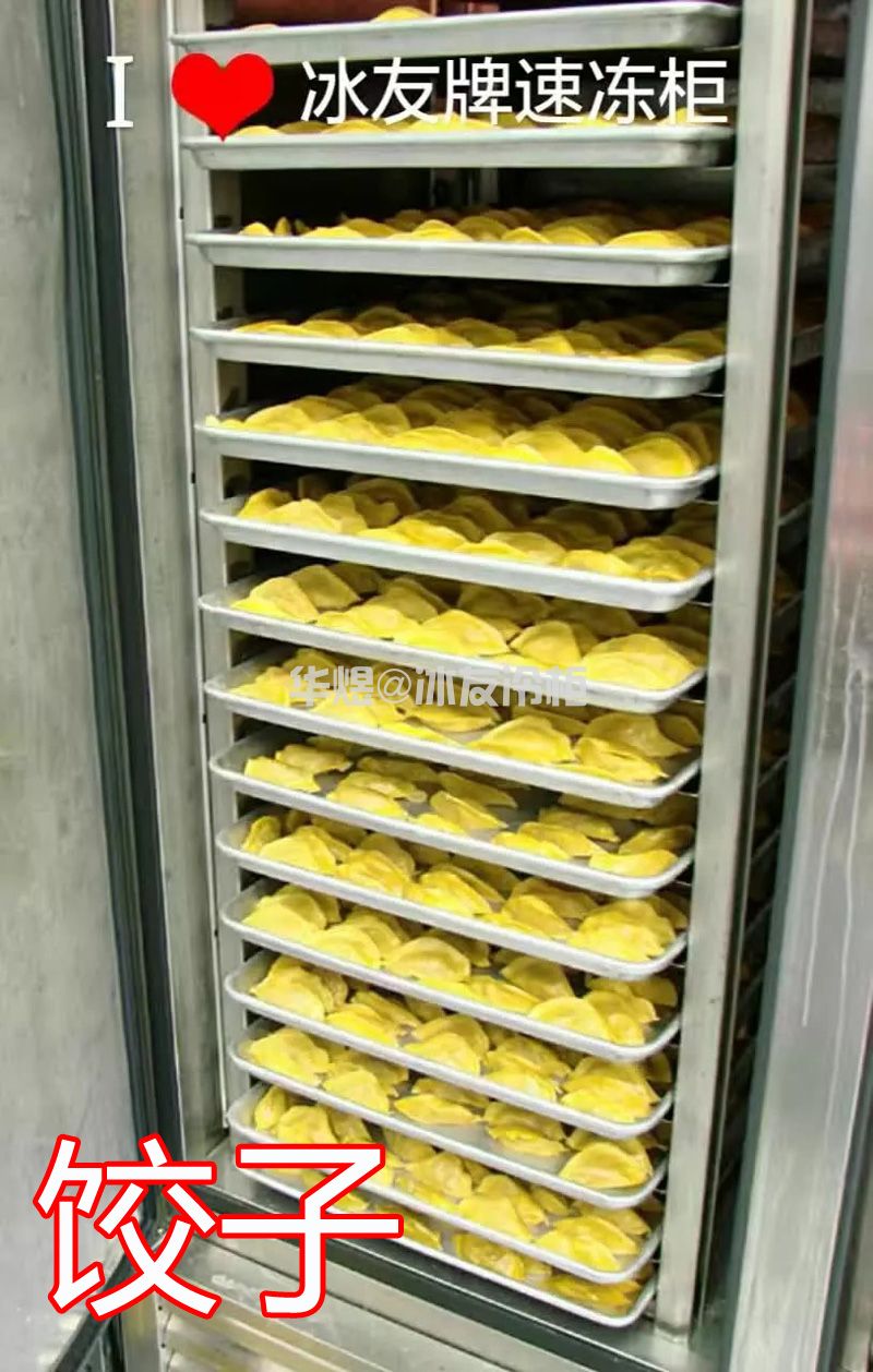 冰友定制款大型速冻柜6门90盘盘超低温速冻机红薯榴梿速冻柜冷柜(图19)