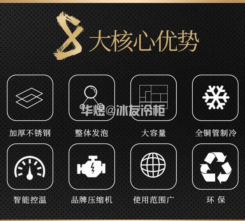 冰友简易款8盘冰淇淋车流动式硬质冰淇淋冷藏冷冻花车(图2)