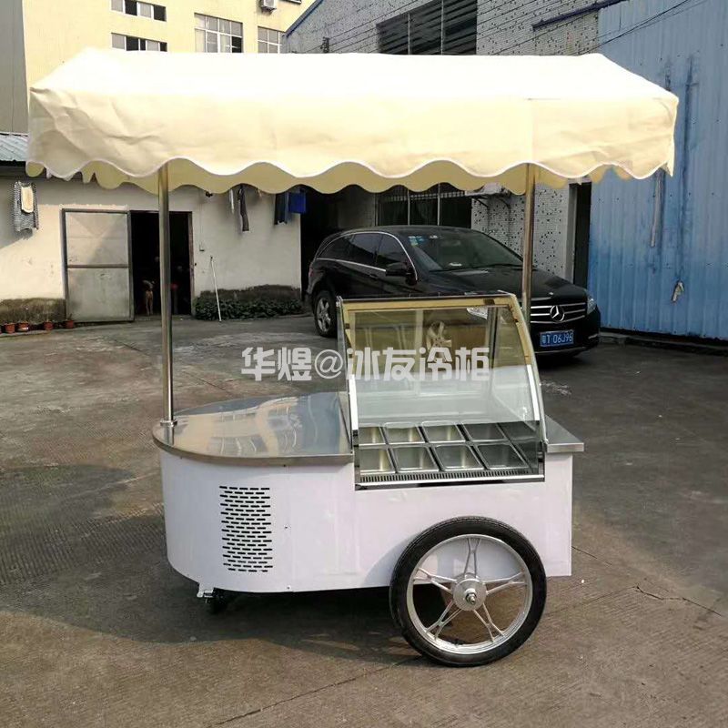 冰友简易款8盘冰淇淋车流动式硬质冰淇淋冷藏冷冻花车(图6)