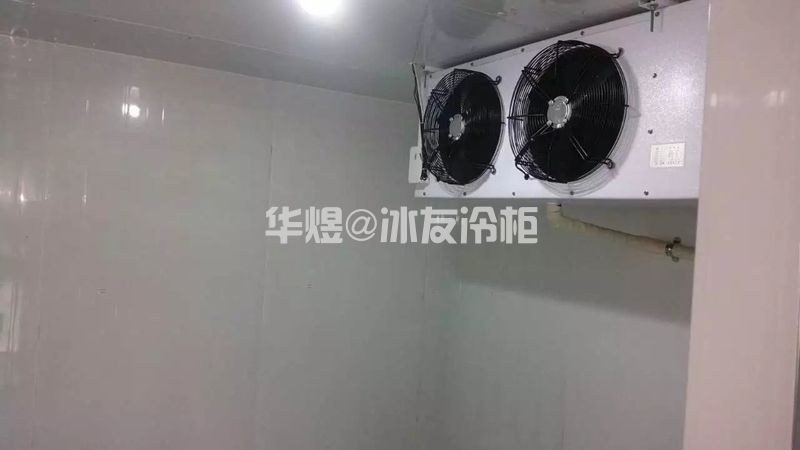 广东省东莞市李先生2~8℃牛奶保鲜冷库建造(图5)