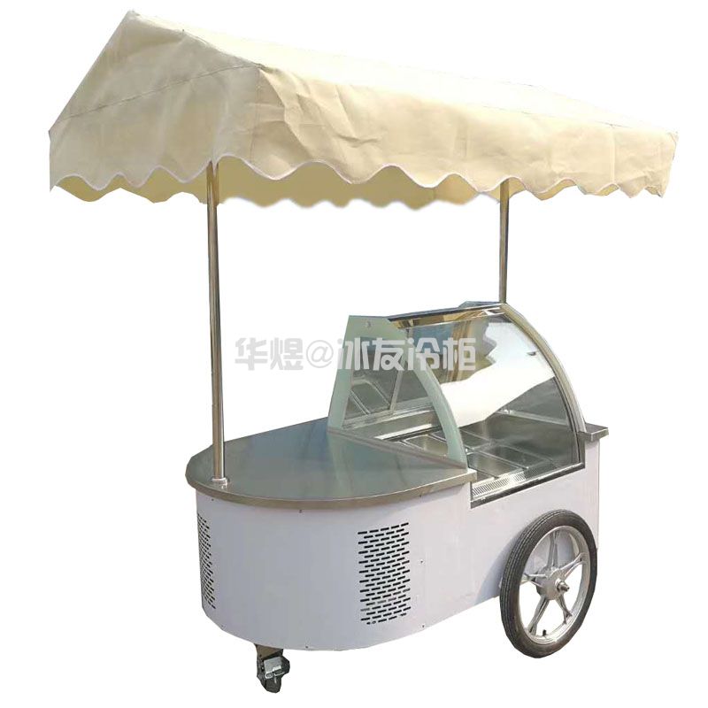 冰友简易款8盘冰淇淋车流动式硬质冰淇淋冷藏冷冻花车(图1)